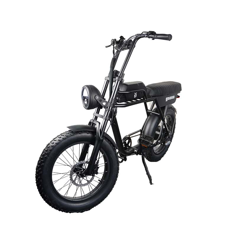 AGM GT250 Fatbike